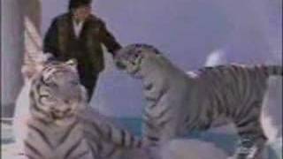 Siegfried and Roy Interview [upl. by Hanahsuar]