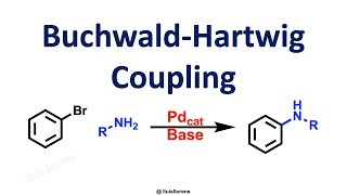 BuchwaldHartwig Coupling [upl. by Anirtal101]