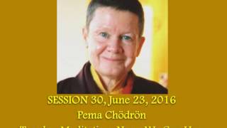 30 Pema Chodron  Tonglen Meditation [upl. by Cirdec950]