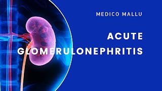 AGN  Acute Glomerulonephritis  Acute Nephritic Syndrome [upl. by Enrol]