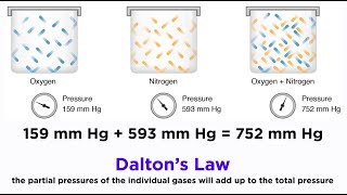 Daltons Law and Partial Pressures [upl. by Harat681]