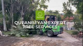 Queanbeyan Expert Tree Services [upl. by Brenda15]