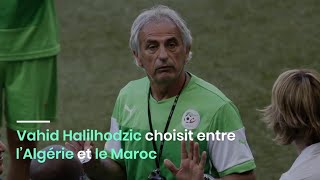 Vahid Halilhodzic choisit entre l’Algérie et le Maroc [upl. by Hsihsa]