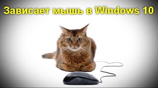 Зависает мышь в Windows 10 — как исправить [upl. by Reyaht415]