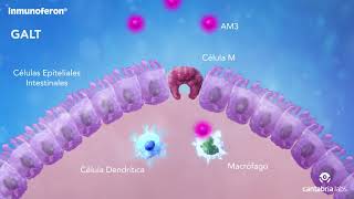 INMUNOFERON  Cantabria Labs [upl. by Griffith]