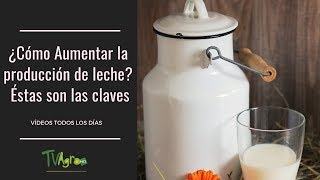 ¿Cómo AUMENTAR la producción de LECHE Éstas son las CLAVES TvAgro por Juan Gonzalo Angel [upl. by Klusek]