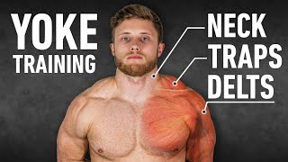 YOKED The Ultimate Trap Neck and Delt Workout ScienceBased [upl. by Biggs]