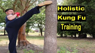 Holistic Kung Fu Training  Balance Health amp Happiness [upl. by Aneelehs]