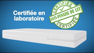 Housse anti punaise de lit Mattress Safe  Pourquoi c’est la meilleure [upl. by Chemush]