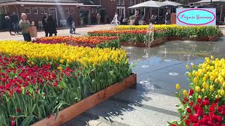 Beautiful Flowers at McArthurGlen Designer Outlet at Roermond Netherlands [upl. by Itnuahsa]