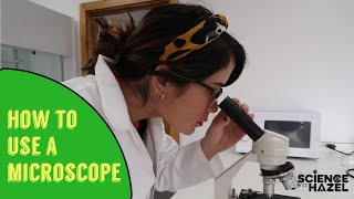 How To Use A Microscope  Biology Practicals [upl. by Pace748]