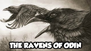 Odins Mythical Ravens  Huginn and Muninn Norse Mythology Explained [upl. by Atiuqad]