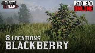 Blackberry RDR2 Locations in Red Dead Online for Daily Challenges RDR2 [upl. by Thielen]