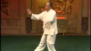 Yang Style Taijiquan 103 form  Part 1 [upl. by Eislrahc]