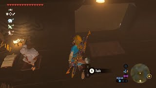 Breath of the Wild  Guide How to Sleep With Paya [upl. by Wendelin]