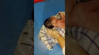 New Simple Baby Born Vernix Cleaning After Birth [upl. by Eniamreg669]