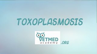 Toxoplasmosis [upl. by Henni]