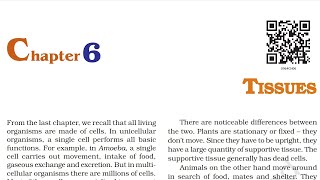 Tissues  Class 9 Science  Biology  Part 1 [upl. by Aicital]