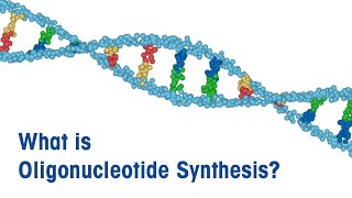 What is Oligonucleotide Synthesis [upl. by Killarney]