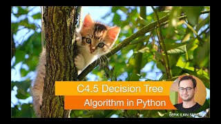 C45 Decision Tree Algorithm in Python [upl. by Artenahs]