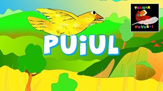 Puiul 📖 Poveste Colorata [upl. by Eimmelc313]