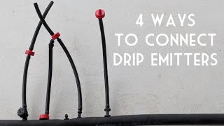 Desert Gardening Basics How to Install Drip Emitters [upl. by Ainatnas]