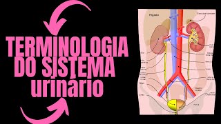 Terminologia do Sistema Urinário Aula  termos técnicos em enfermagem [upl. by Zeena]