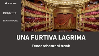 Una furtiva lagrima Donizetti Elixir damore Tenor rehearsal track [upl. by Jeniffer659]