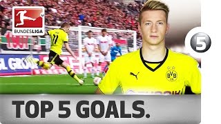 Marco Reus  Top 5 Goals [upl. by Jordana]