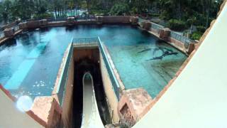 POV Leap of Faith waterslide at Atlantis Bahamas [upl. by Nebe]