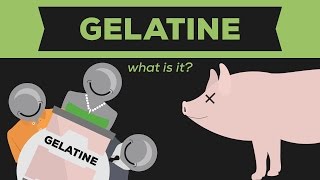 What is Gelatine Gelatin  Jello [upl. by Mansur936]