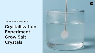 Crystallization Experiment  Grow Salt Crystals  DIY Science Project [upl. by Gellman]