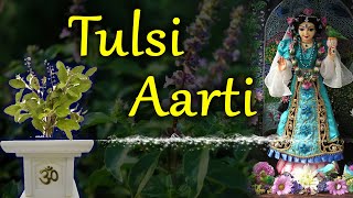 Tulsi Krishna Preyasi Namo Namaha  TULASI AARTI  ISKCON Temple Songs [upl. by Naujad]