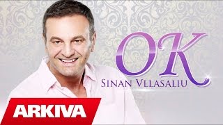 Sinan Vllasaliu  OK Official Song [upl. by Annoed]