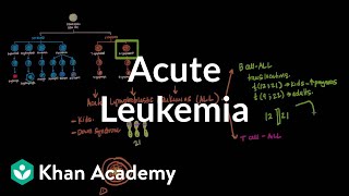 Acute leukemia  Hematologic System Diseases  NCLEXRN  Khan Academy [upl. by Sidky650]