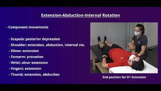 PNF Proprioceptive Neuromuscular Facilitation for the Upper Extremity [upl. by Illona]