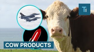 Did You Know These Products Are Made From Cows [upl. by Keely712]