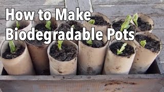 How to make simple biodegradable pots with newspaper [upl. by Anahcar723]