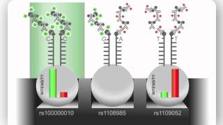 Illumina Infinium Assay An Overview [upl. by Acissey545]