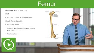 Femur – Anatomy  Medical Education Videos [upl. by Darbee]