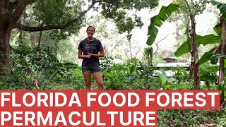 Florida Food Forest Tour By Expert Permaculture Instructor [upl. by Hairas]