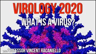 Virology Lectures 2020 1 What is a Virus [upl. by Ynohtnaluap191]