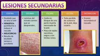 LESIONES ELEMENTALES EN DERMATOLOGÍA [upl. by Aruam]