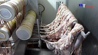 How Are Sausages Produced in Factories Excellent Food Production and Processing Process [upl. by Nollahp]