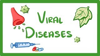 GCSE Biology  What Is a Virus  Examples of Viral Disease HIV Measles amp TMV 36 [upl. by Yenattirb]