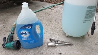 IMPROVED Soapy Water Insecticide Spray Dawn Dish Soap [upl. by Freddi]