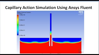 Capillary Action Simulation Using Ansys Fluent [upl. by Ostraw569]