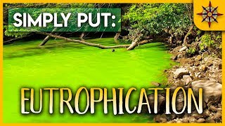 Eutrophication Explained [upl. by Auqinahs]