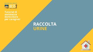 Raccolta delle urine [upl. by Darn]