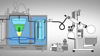 Ethanol Extraction Process  Capna Fabrication [upl. by Yvonne]